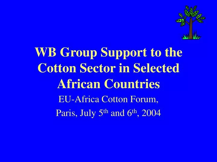 wb group support to the cotton sector in selected african countries