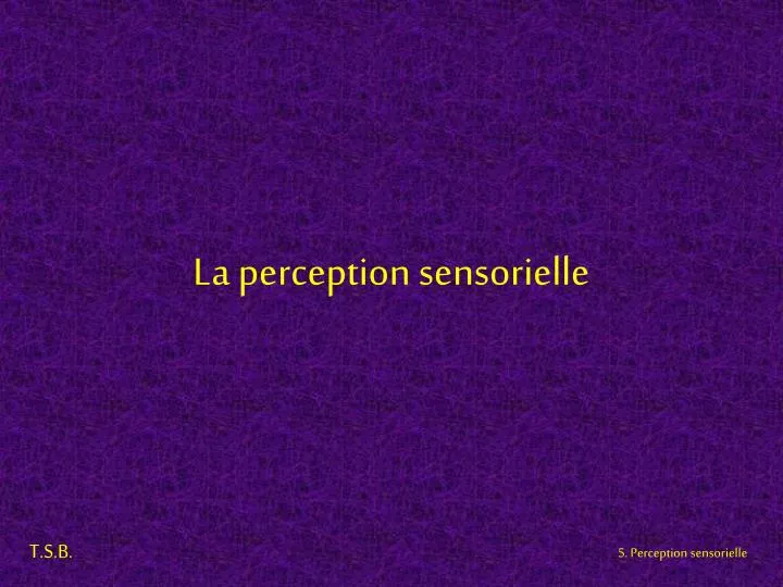 la perception sensorielle