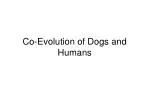 Co-Evolution of Dogs and Humans