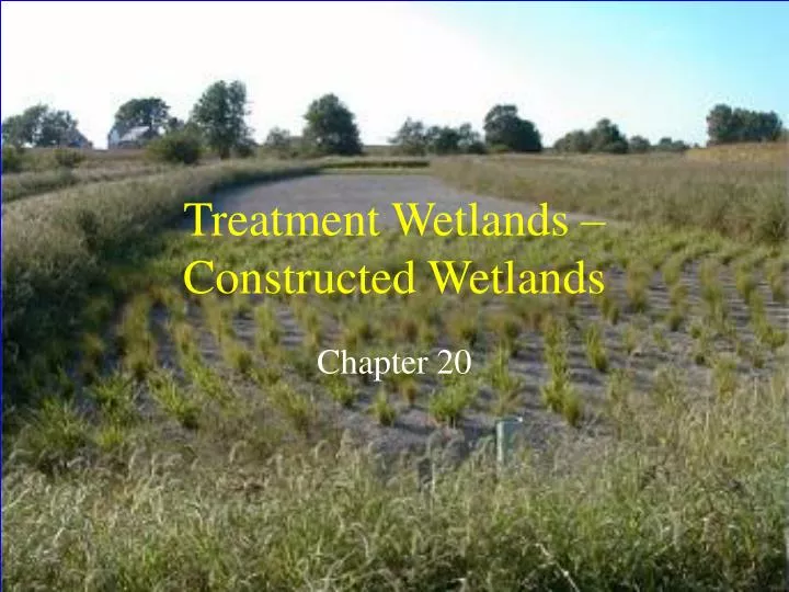 treatment wetlands constructed wetlands