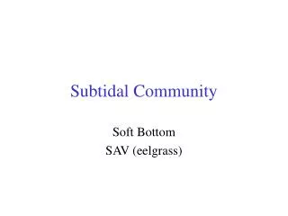 Subtidal Community