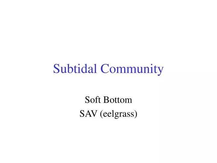 subtidal community