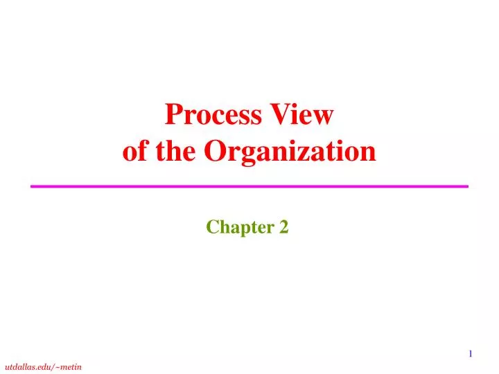 process view of the organization