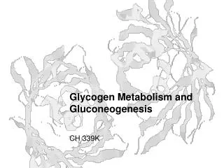 Glycogen Metabolism and Gluconeogenesis