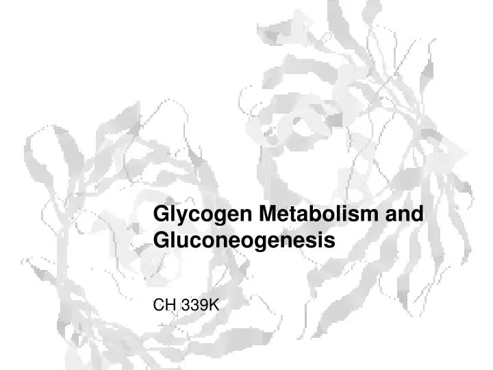 glycogen metabolism and gluconeogenesis