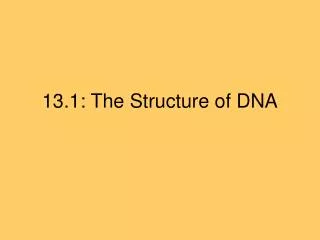 13.1: The Structure of DNA