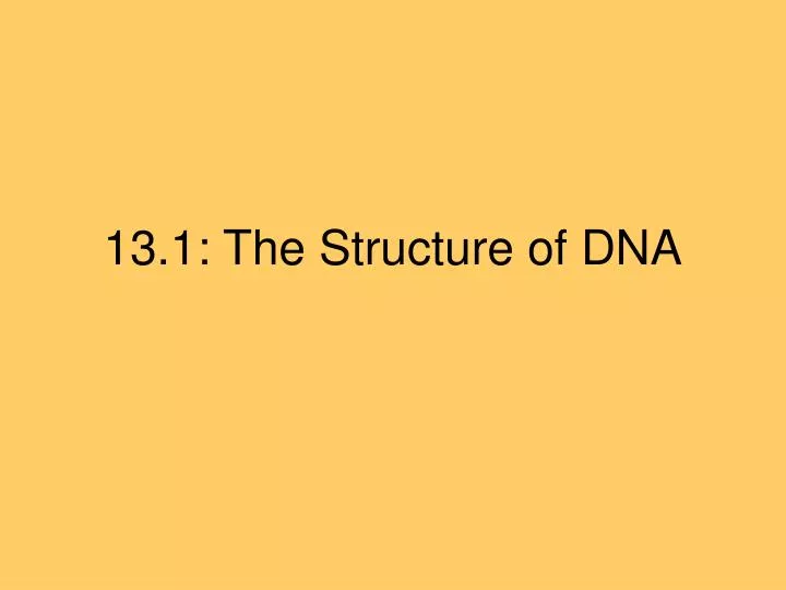 13 1 the structure of dna
