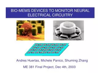 BIO-MEMS DEVICES TO MONITOR NEURAL ELECTRICAL CIRCUITRY