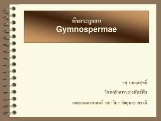 พืชตระกูลสน Gymnospermae