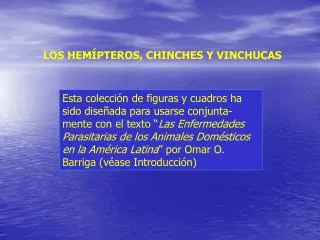 LOS HEMÍPTEROS, CHINCHES Y VINCHUCAS