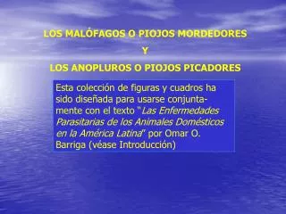 LOS MALÓFAGOS O PIOJOS MORDEDORES Y LOS ANOPLUROS O PIOJOS PICADORES