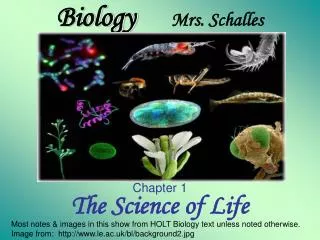 Biology Mrs. Schalles