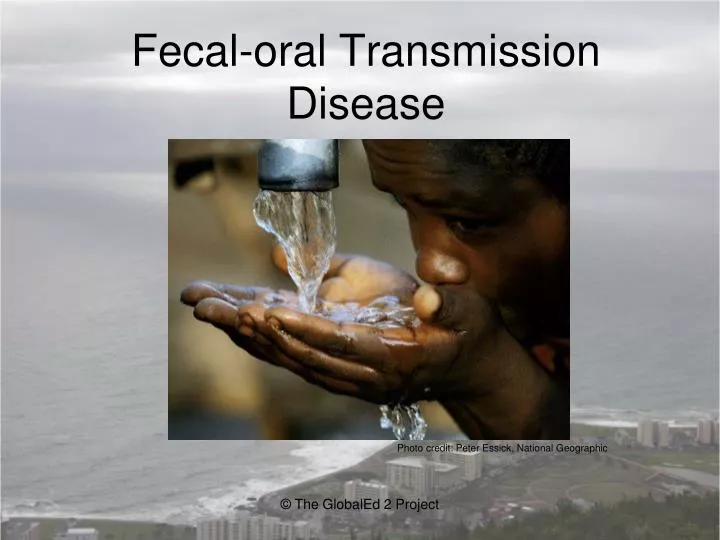 fecal oral transmission disease