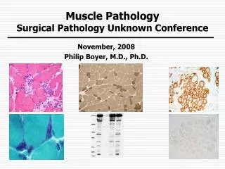 Muscle Pathology Surgical Pathology Unknown Conference