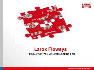 Larox Flowsys The Solution You´ve Been Looking For