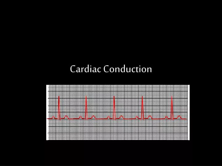 cardiac conduction