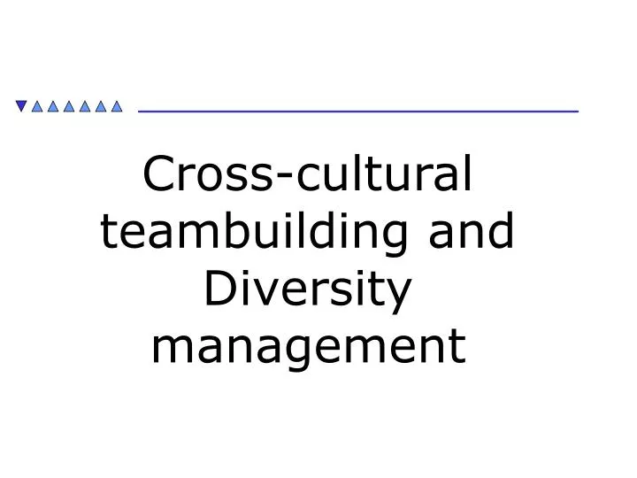 cross cultural teambuilding and diversity management