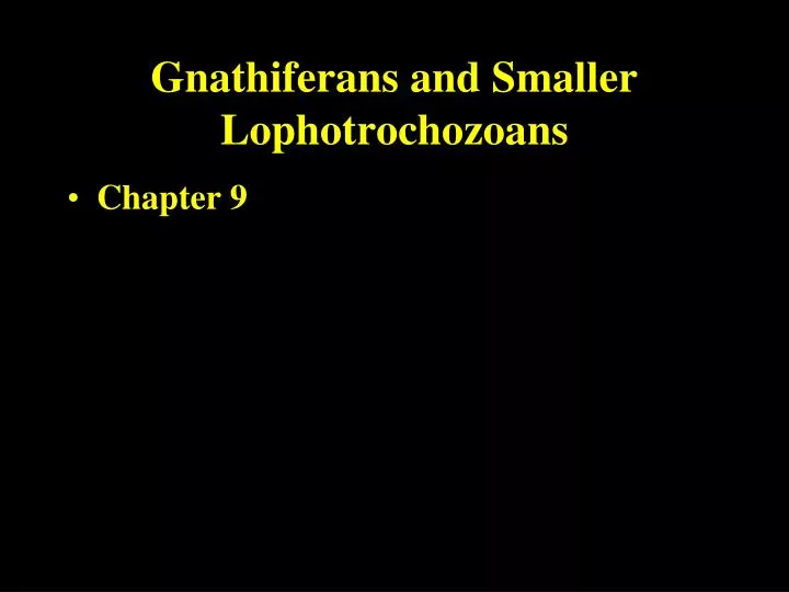 gnathiferans and smaller lophotrochozoans
