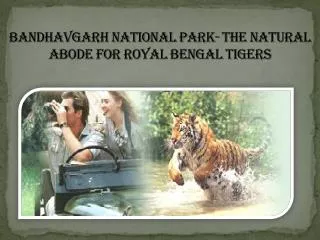 Bandhavgarh National Park- the natural abode for Royal Beng