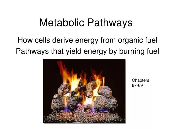 metabolic pathways