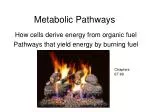 Metabolic Pathways - slide 1