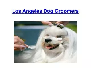 Los Angeles Dog Groomers