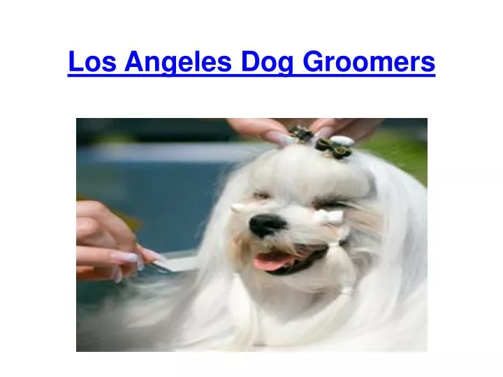 los a ngeles dog groomers