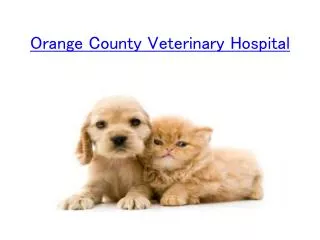 Orange County Veterinary Hospital