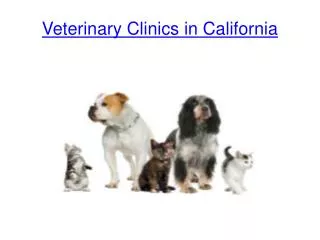 Veterinary Clinics in California