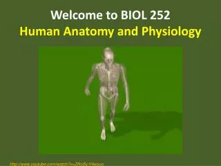 Welcome to BIOL 252 Human Anatomy and Physiology