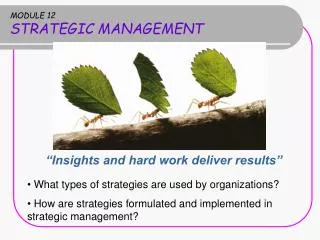 MODULE 12 STRATEGIC MANAGEMENT