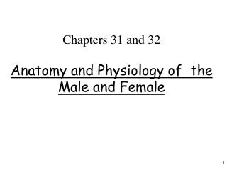 Chapters 31 and 32 Anatomy and Physiology of the Male and Female