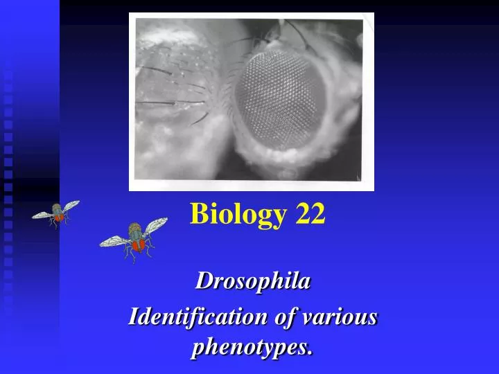 biology 22