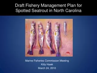 Draft Fishery Management Plan for Spotted Seatrout in North Carolina