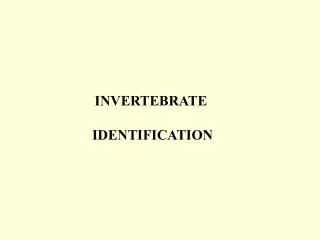 INVERTEBRATE IDENTIFICATION