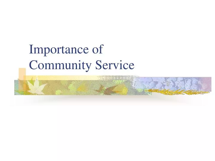importance of community service