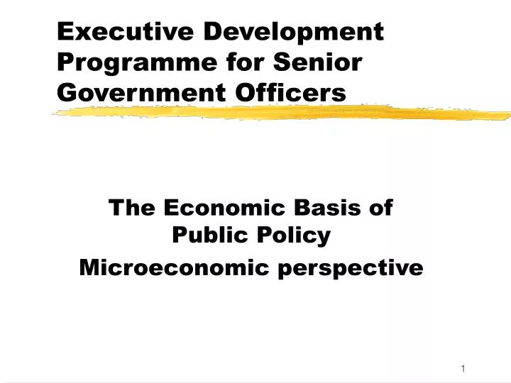 executive development programme for senior government officers