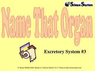 Excretory System #3