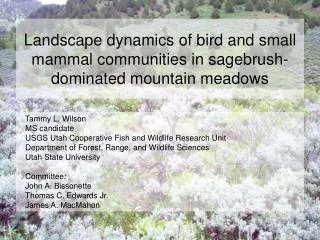 Landscape dynamics of bird and small mammal communities in sagebrush-dominated mountain meadows
