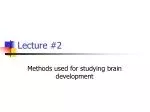 Lecture #2 - slide 1