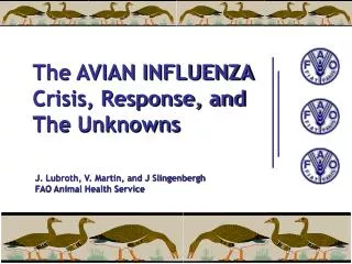 The AVIAN INFLUENZA Crisis, Response, and The Unknowns