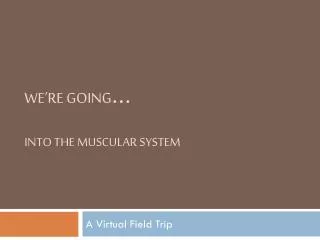 We’re going … Into the Muscular System