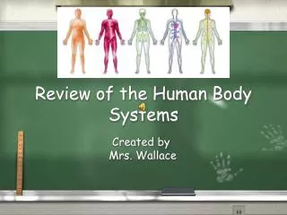 Review of the Human Body Systems