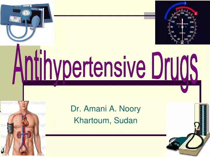 dr amani a noory khartoum sudan