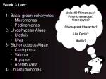 Week 3 Lab: - slide 1