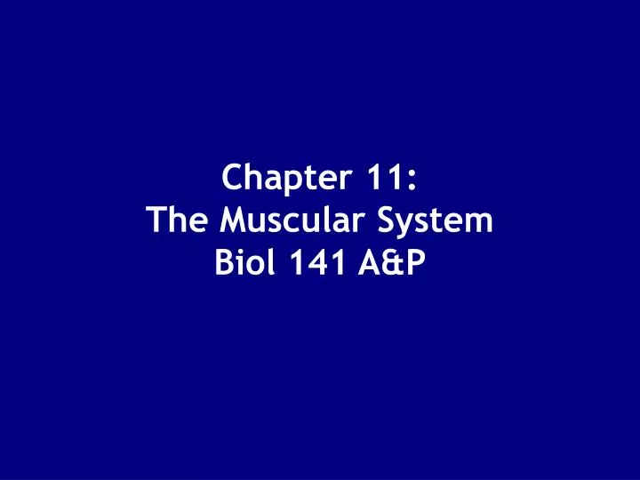chapter 11 the muscular system biol 141 a p