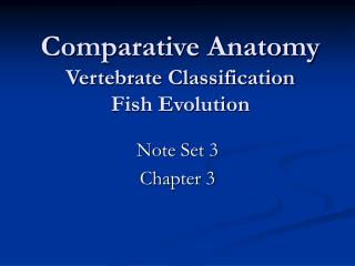 Comparative Anatomy Vertebrate Classification Fish Evolution