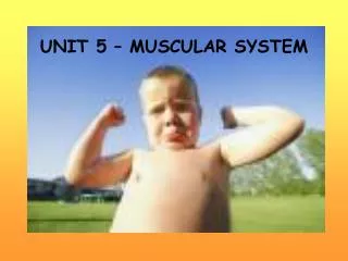 UNIT 5 – MUSCULAR SYSTEM