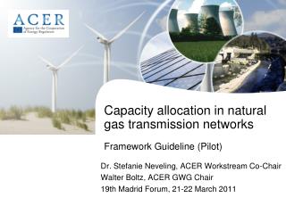 Capacity allocation in natural gas transmission networks Framework Guideline (Pilot)