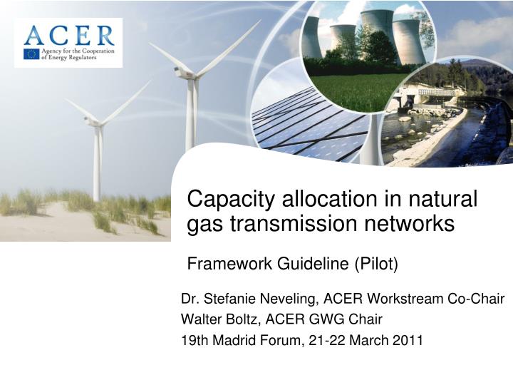 capacity allocation in natural gas transmission networks framework guideline pilot